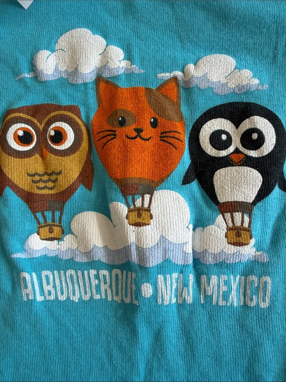 Albuquerque, New Mexico . Bodysuit with Animal Print Pants 9-12 months